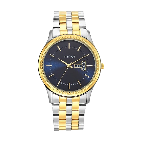 Titan Karishma Analog wristwatch